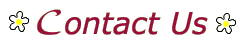 Contact Us
