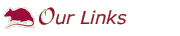 Our Links